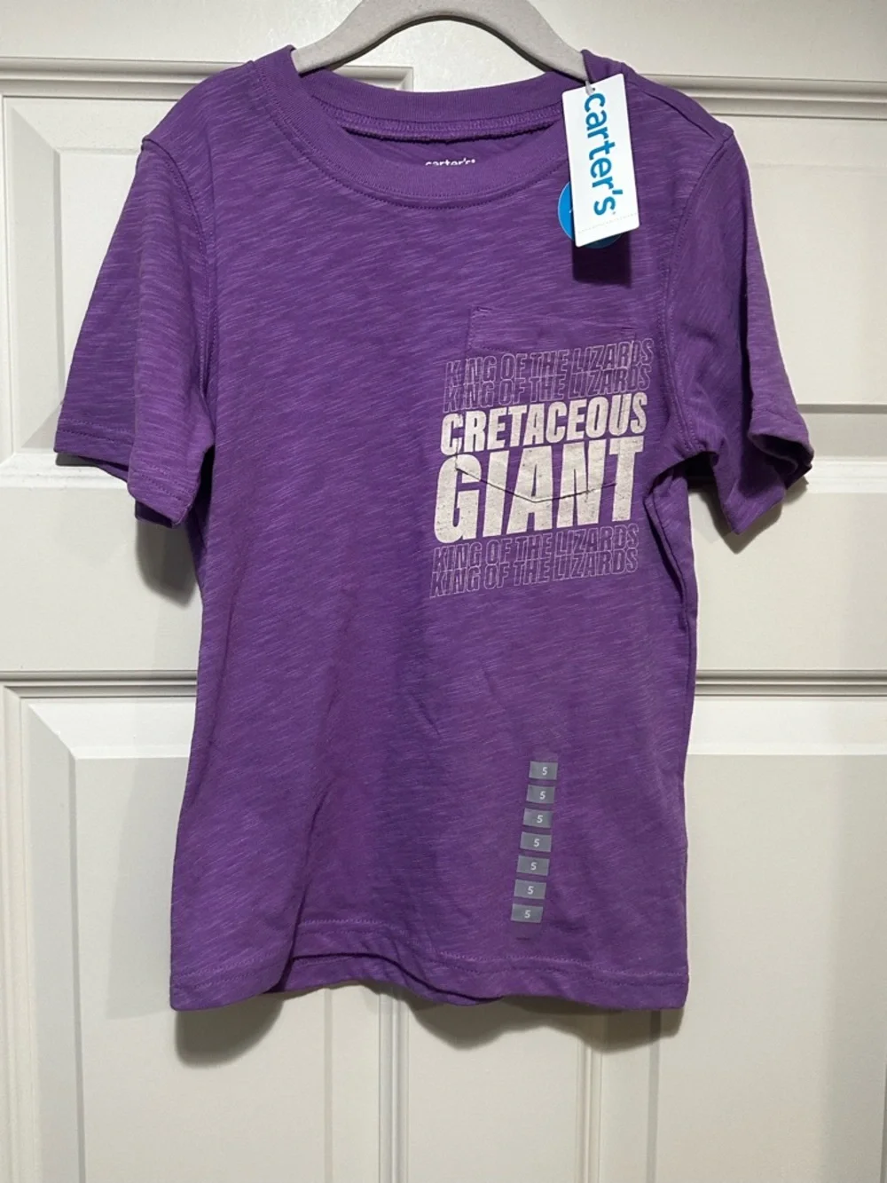 Carter's graphic Dinosaur Tee 5T NWT